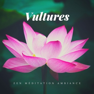 Обложка для Zen Méditation Ambiance - The Night Is Zen