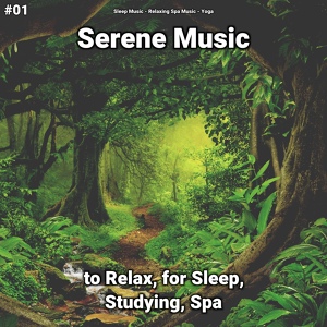 Обложка для Sleep Music, Relaxing Spa Music, Yoga - Zen Music for Deep Sleep