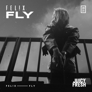 Обложка для FEL!X - Fly