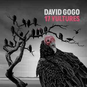 Обложка для David Gogo - Yo Yo Blues