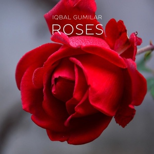 Обложка для Iqbal Gumilar - Roses (Acoustic Guitar)