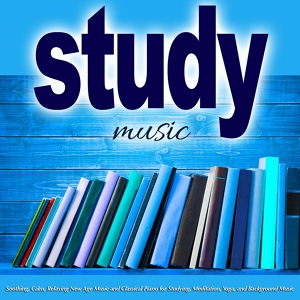 Обложка для Calm Music Guru - Music for Studying