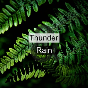 Обложка для Thunder & Rain - Relaxing Storm