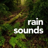 Обложка для Rain Sounds - Mighty Thunder