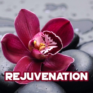 Обложка для 4mhz - Rejuvenation