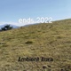 Обложка для Ambient Aura - ends 2022