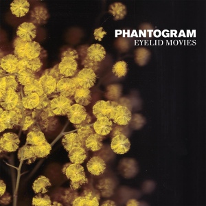 Обложка для Phantogram - Bloody Palms