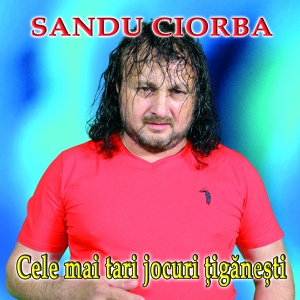 Обложка для Sandu Ciorba - Pe Cimpoi