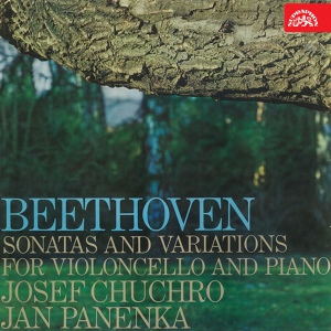 Обложка для Josef Chuchro, Jan Panenka - Sonata for Cello and Piano No. 1 in F Major, Op. 5: II. Allegro vivace - Adagio - Tempo I