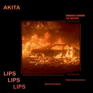 Обложка для Akita - Lips