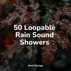 Обложка для The Relaxing Sounds of Swedish Nature, Loopable Rain, Namaste Yoga - Rain, Vegetation, Wood, Heavy Wind