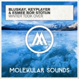 Обложка для Bluskay, KeyPlayer & Esmee Bor Stotijn - Winter Took Over (Extended Mix)