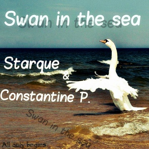 Обложка для Starque, Constantine P. - Swan In The Sea