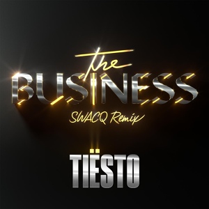 Обложка для Tiësto - The Business