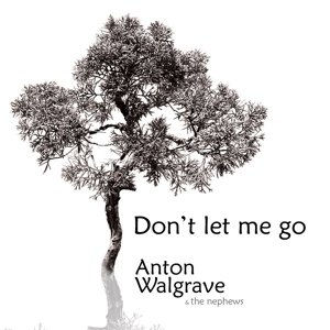 Обложка для Anton Walgrave - Don't Let Me Go