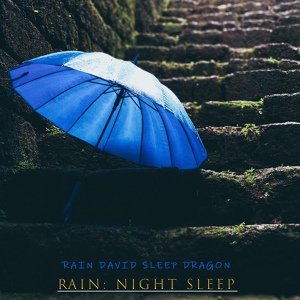 Обложка для Rain David Sleep Dragon - Blinding Lights and Heavy Rain