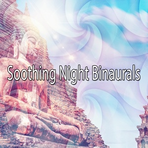 Обложка для Binaural Beats Sleep - Hollow Wood Rattle