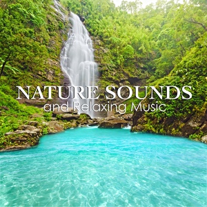 Обложка для Nature Sounds Radio - Zen Rhythm - Music for Daily Meditations