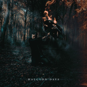 Обложка для Halcyon Days - Hiraeth