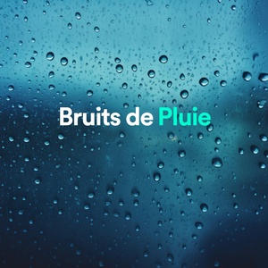 Обложка для Bruits de Pluie - Pluie Tombant Sur La Mer