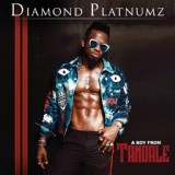 Обложка для Diamond Platnumz ft Ne-Yo - Marry You