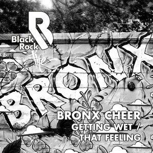 Обложка для Bronx Cheer - Getting Wet