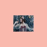 Обложка для Florence + The Machine - Donkey Kosh