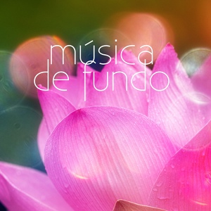 Обложка для Academia de Música de Fundo e Ambiente - Meditação