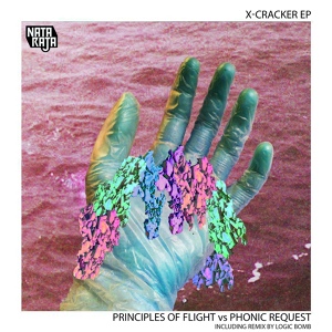 Обложка для Principles of Flight, Phonic Request - Equinox