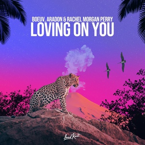 Обложка для Boeuv, Aradon, Rachel Morgan Perry - Loving on You
