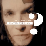 Обложка для David Sylvian - Do You Know Me Now?