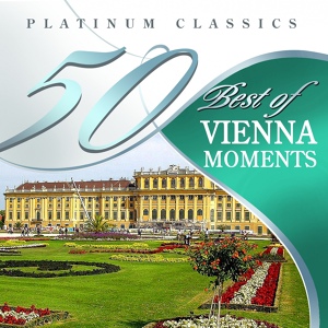 Обложка для St. Petersburg Orchestra of the State Hermitage Museum Camerata, Saulus Sondetskis - Don Giovanni (Don Juan), K. 527: Duet - Zerlina and Don Giovanni