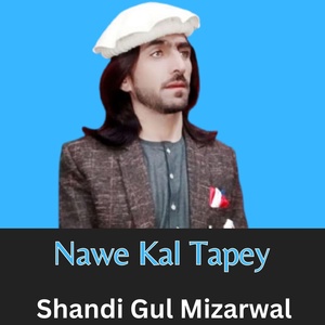 Обложка для Shandi Gul Mizarwal - Nawe Kal Tapey