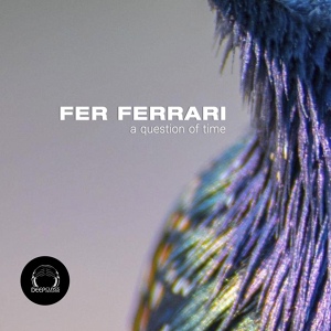 Обложка для Fer Ferrari - Love You