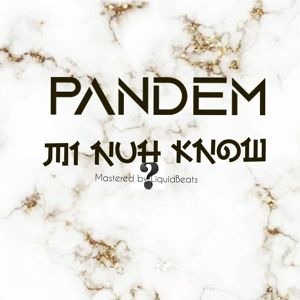 Обложка для PanDem - Mi Nuh Know