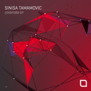 Обложка для Sinisa Tamamovic - Lost Memories