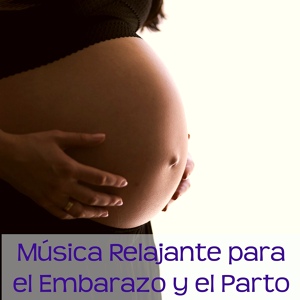 Обложка для Oasis Relaxamento - Yoga Prenatal (La Mas Suave Música Relajante)