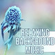Обложка для Background Music Collection - Sweet Dreams with Soothing Music