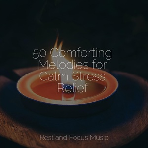 Обложка для Tonal Meditation Collective, Calming Sounds, Wellness - Stress-less Salvation
