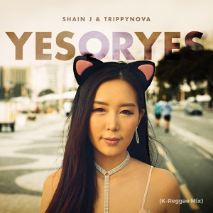 Обложка для Shain J, Trippynova - YES or YES