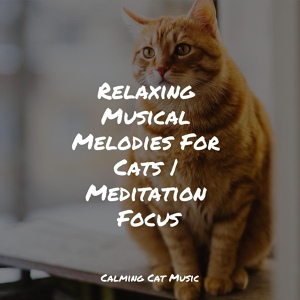 Обложка для Jazz Music Therapy for Cats, Cat Music, Official Pet Care Collection - Music for Meditation