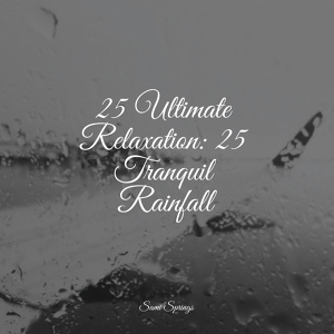 Обложка для Sonido Del Bosque y Naturaleza, Brown Noise, Kundalini: Yoga - Sounds of Rain and Thunder