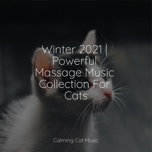 Обложка для Cats Music Zone, RelaxMyCat, Music for Cats Project - Waves