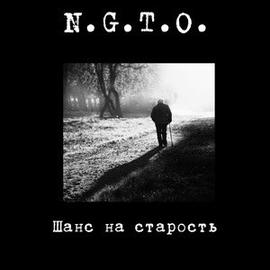 Обложка для N.G.T.O. - Звезда