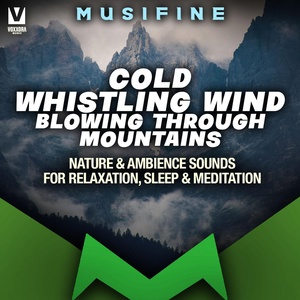 Обложка для Musifine - Cold Whistling Wind Blowing Through Mountains