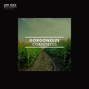 Обложка для Gorgonoize - Cornfields