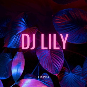 Обложка для FM Pro - DJ Lily