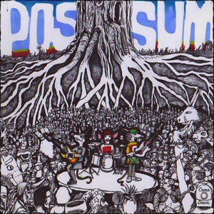 Обложка для Possum - Hal Wilkinson