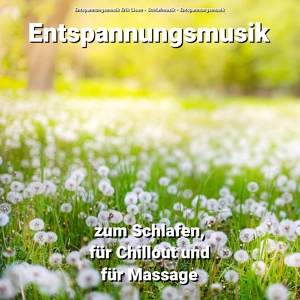 Обложка для Entspannungsmusik Erik Lisen, Schlafmusik, Entspannungsmusik - Einschlafmusik