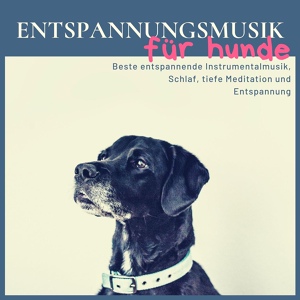 Обложка для Entspannungsmusik & Wellness - Das Land der Hunde